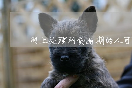 网上处理网贷逾期的人可信吗 网上处理网贷逾期的人可信吗