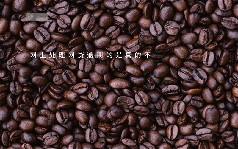 网上处理网贷逾期的是真的不