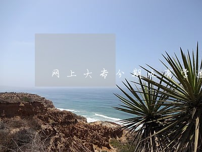 网上大专分期没有学逾期 网上大专分期没有学逾期