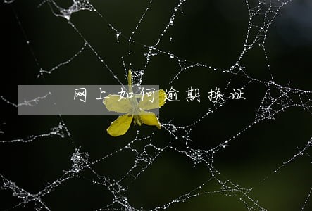 网上如何逾期换证 网上如何逾期换证