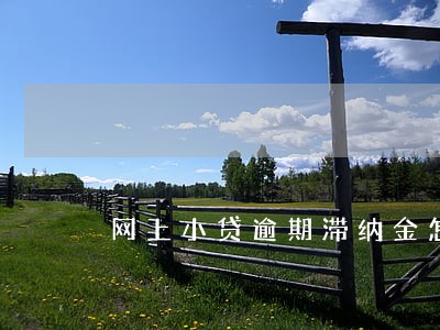 网上小贷逾期滞纳金怎么办 网上小贷逾期滞纳金怎么办