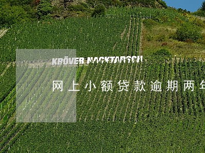 网上小额贷款逾期两年 网上小额贷款逾期两年