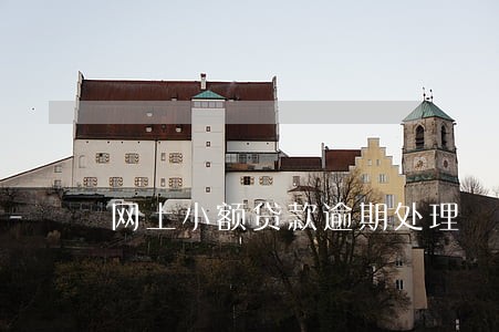 网上小额贷款逾期处理 网上小额贷款逾期处理