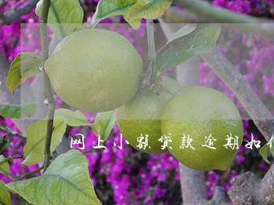 网上小额贷款逾期如何计息 网上小额贷款逾期如何计息