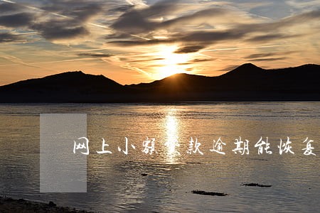 网上小额贷款逾期能恢复征信 网上小额贷款逾期能恢复征信