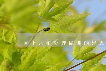 网上帮忙处理逾期的是真的吗 网上帮忙处理逾期的是真的吗