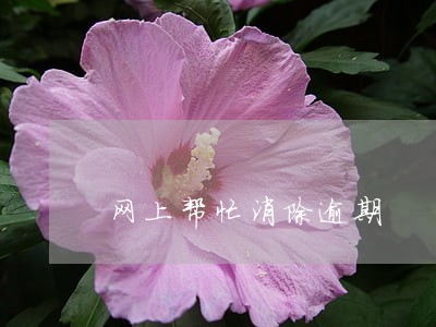 网上帮忙消除逾期 网上帮忙消除逾期