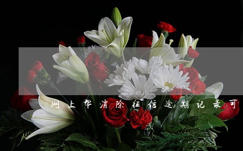 网上帮消除征信逾期记录可靠吗 网上帮消除征信逾期记录可靠吗