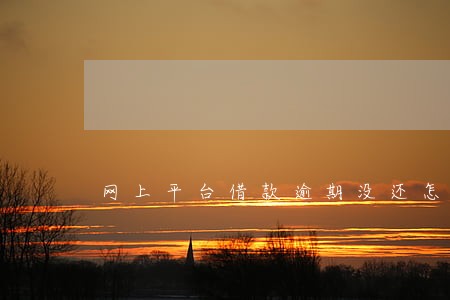 网上平台借款逾期没还怎么办