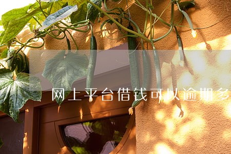 网上平台借钱可以逾期多久 网上平台借钱可以逾期多久