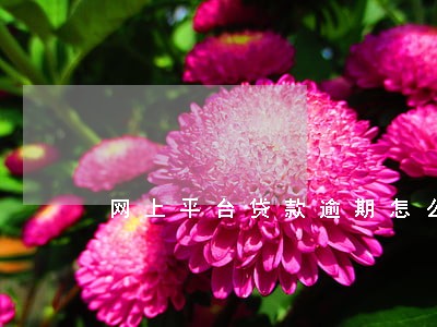 网上平台贷款逾期怎么处理 网上平台贷款逾期怎么处理