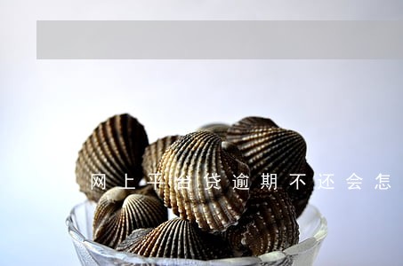 网上平台贷逾期不还会怎么样 网上平台贷逾期不还会怎么样
