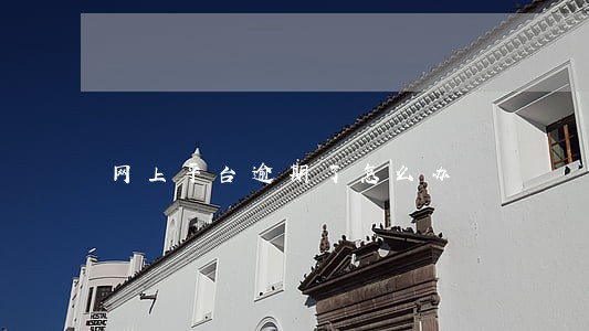 网上平台逾期了怎么办