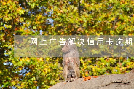 网上广告解决信用卡逾期可信么 网上广告解决信用卡逾期可信么