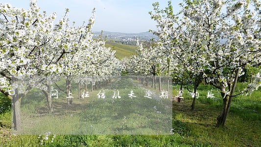 网上征信从未逾期过的账户 网上征信从未逾期过的账户