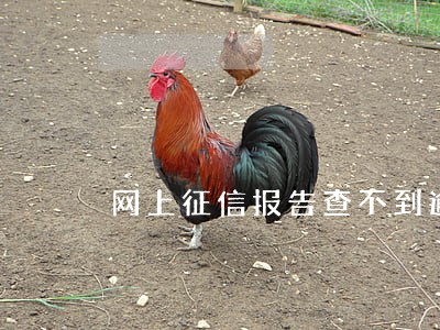 网上征信报告查不到逾期明细 网上征信报告查不到逾期明细