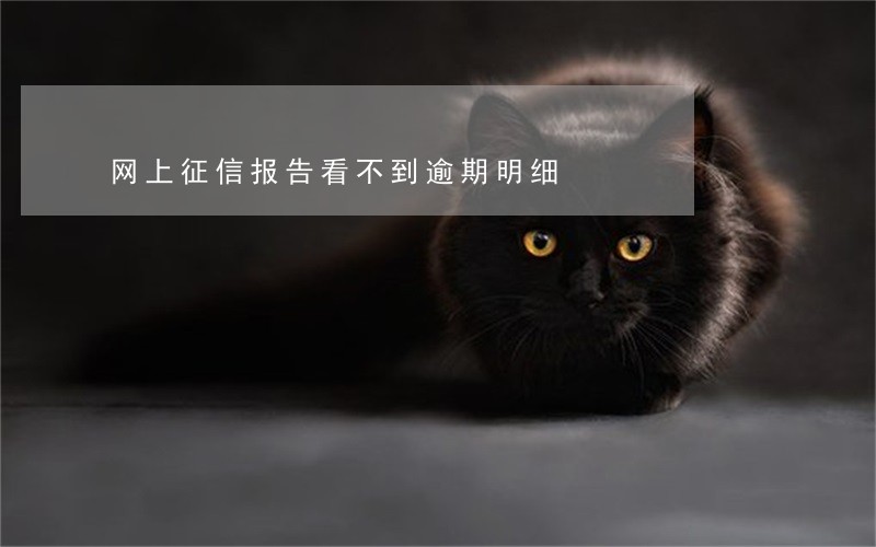 网上征信报告看不到逾期明细 网上征信报告看不到逾期明细