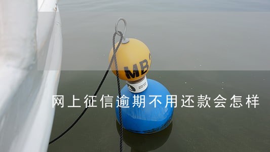 网上征信逾期不用还款会怎样 网上征信逾期不用还款会怎样
