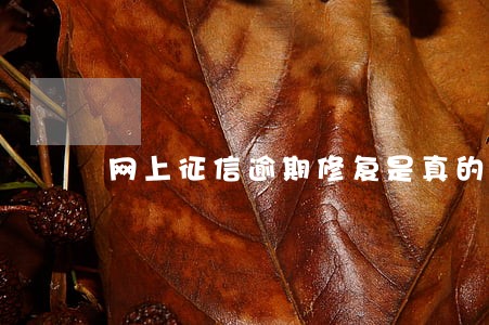 网上征信逾期修复是真的吗