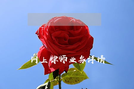 网上律师业务详情 网上律师业务详情