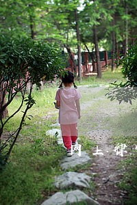 网上律师代理起诉费用多少 网上律师代理起诉费用多少