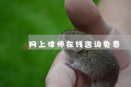 网上律师在线咨询免费 网上律师在线咨询免费