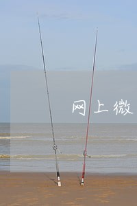 网上微众贷款逾期怎么办