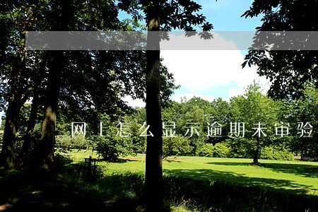 网上怎么显示逾期未审验 网上怎么显示逾期未审验