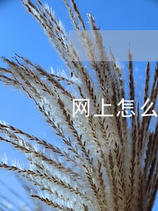 网上怎么查个人逾期