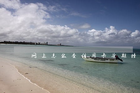 网上怎么查信用卡逾期情况 网上怎么查信用卡逾期情况
