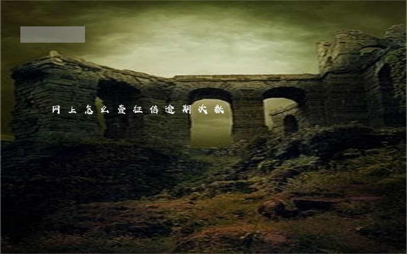 网上怎么查征信逾期次数 网上怎么查征信逾期次数