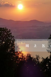 网上怎么查律师身份电话号码 网上怎么查律师身份电话号码