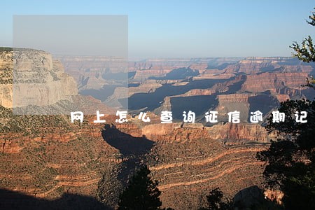 网上怎么查询征信逾期记录消除 网上怎么查询征信逾期记录消除