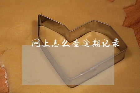 网上怎么查逾期记录 网上怎么查逾期记录