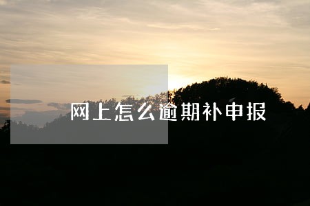 网上怎么逾期补申报 网上怎么逾期补申报