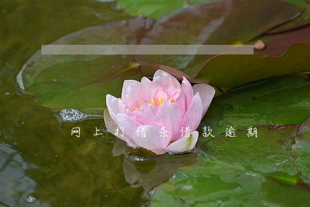 网上打借条借款逾期 网上打借条借款逾期