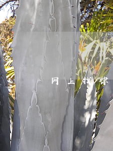 网上找律师代理要多少钱 网上找律师代理要多少钱
