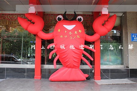 网上抄报税逾期了怎么解决 网上抄报税逾期了怎么解决