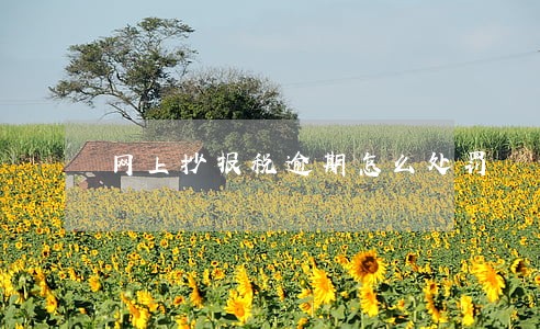 网上抄报税逾期怎么处罚 网上抄报税逾期怎么处罚