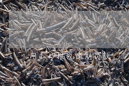 网上抄报税逾期罚款