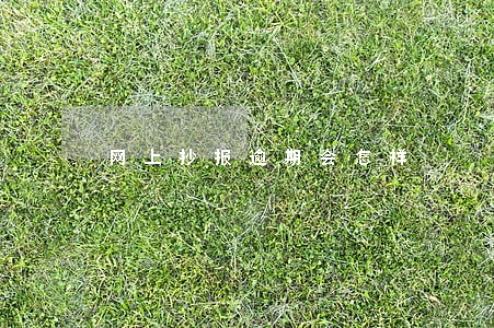 网上抄报逾期会怎样