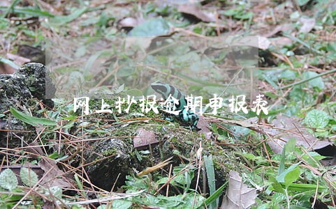 网上抄报逾期申报表 网上抄报逾期申报表