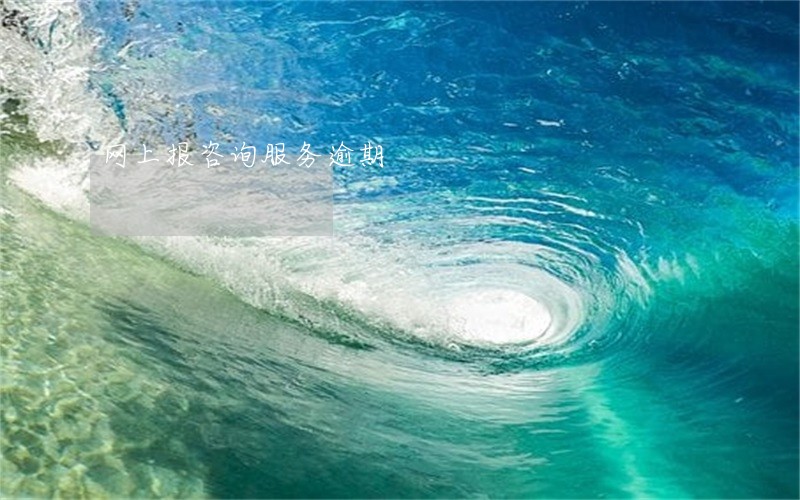 网上报咨询服务逾期