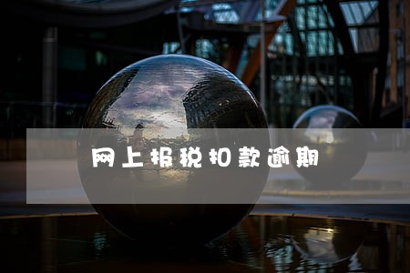 网上报税扣款逾期 网上报税扣款逾期