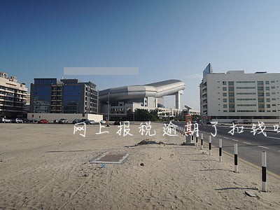 网上报税逾期了扣钱吗 网上报税逾期了扣钱吗
