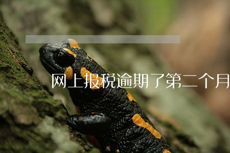 网上报税逾期了第二个月怎么办 网上报税逾期了第二个月怎么办