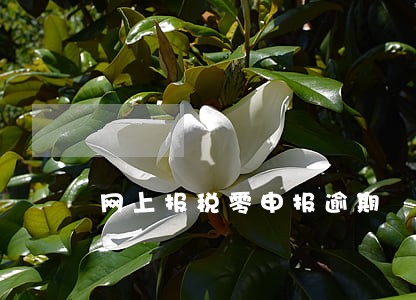 网上报税零申报逾期 网上报税零申报逾期