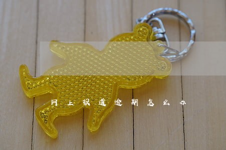 网上报道逾期怎么办 网上报道逾期怎么办