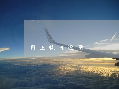 网上挂号逾期