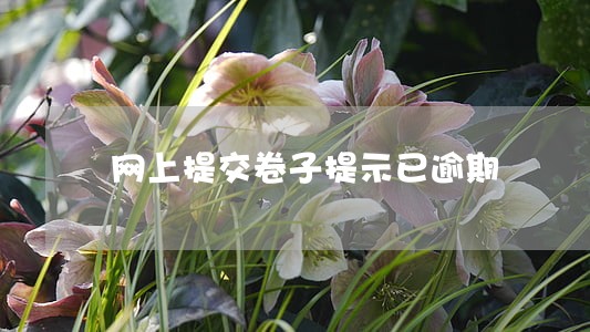网上提交卷子提示已逾期 网上提交卷子提示已逾期